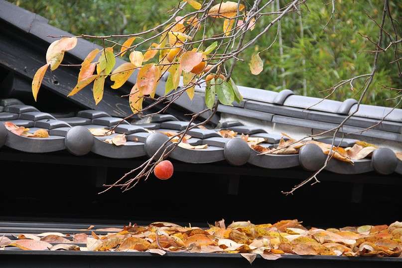 ����� ����� Yaroslava Hamamoto �� PhotoGeek.ru #������ ��� ������� #���������