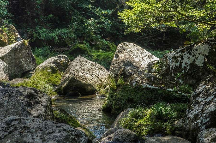 �� ����� ����� Yaroslava Hamamoto �� PhotoGeek.ru #������ ��� ������� #������