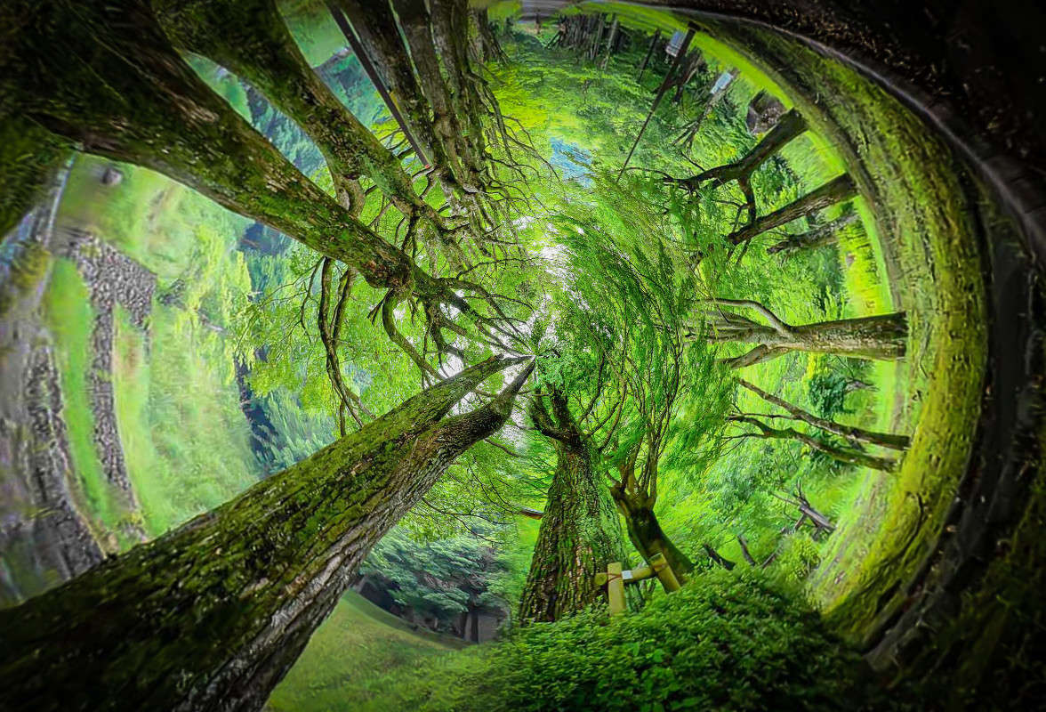 ������ � ����� ����� Yaroslava Hamamoto �� PhotoGeek.ru #������ ��� ������� #���-����������� #������