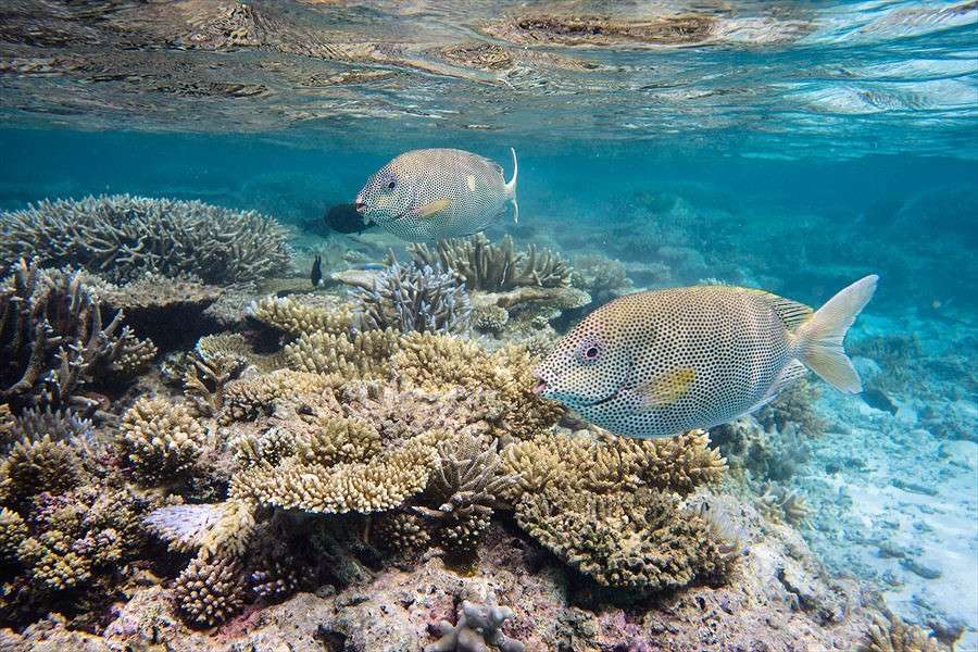 ��������� ��� ������� ����� Yaroslava Hamamoto �� PhotoGeek.ru #�������� ��� #����� ��� ��� ���������