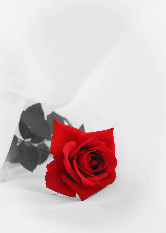 ���� ����� Yaroslava Hamamoto �� PhotoGeek.ru #������ ��� ������� #����� ��������������