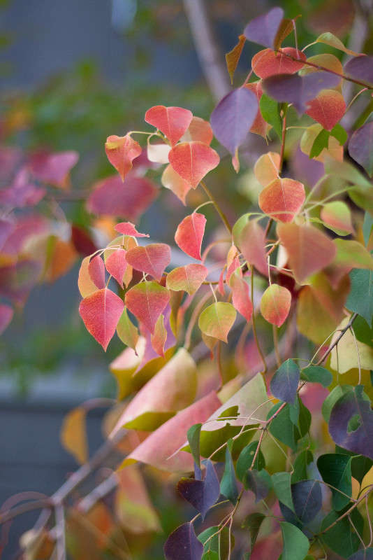 ������� �������� ����� Yaroslava Hamamoto �� PhotoGeek.ru #������ ��� ������� #��������� #������