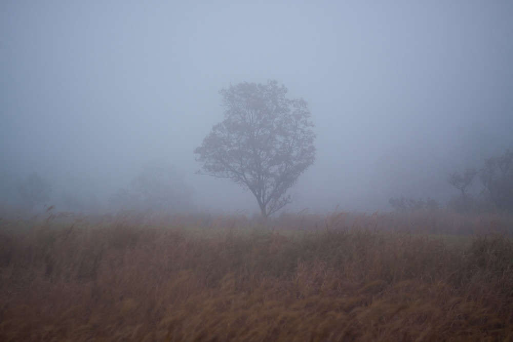 � ������ ����� Yaroslava Hamamoto �� PhotoGeek.ru #������ ��� ������� #���������