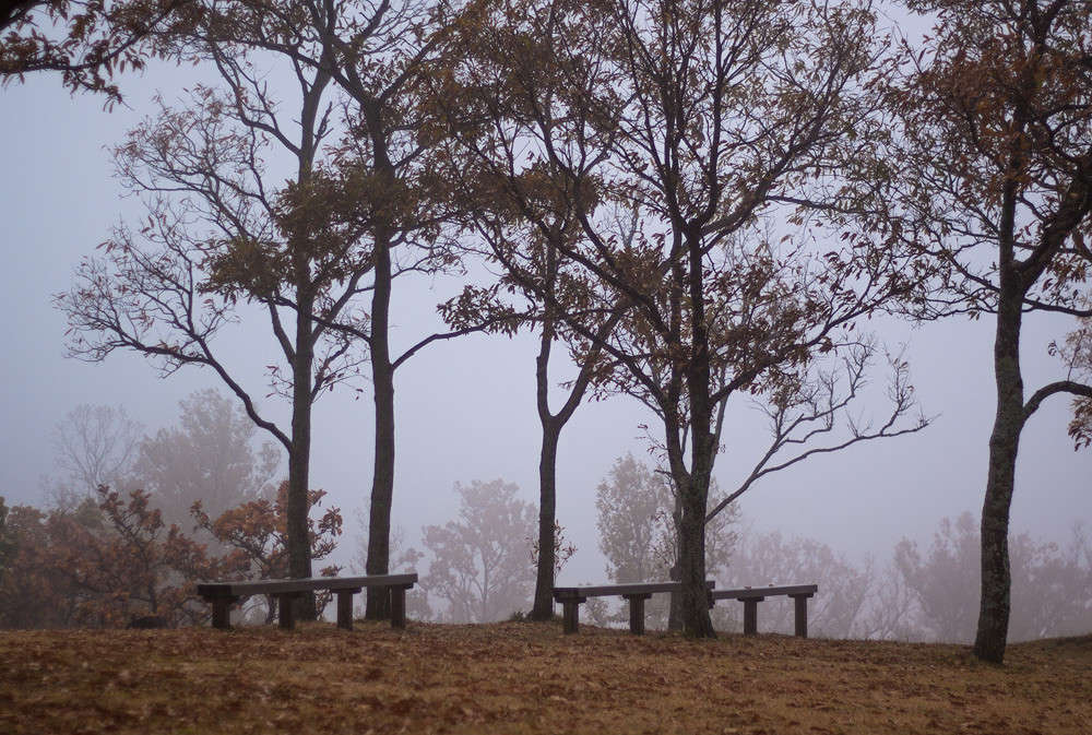 �������� ����������� ����� Yaroslava Hamamoto �� PhotoGeek.ru #������ ��� ������� #���-����������� #��������� #������