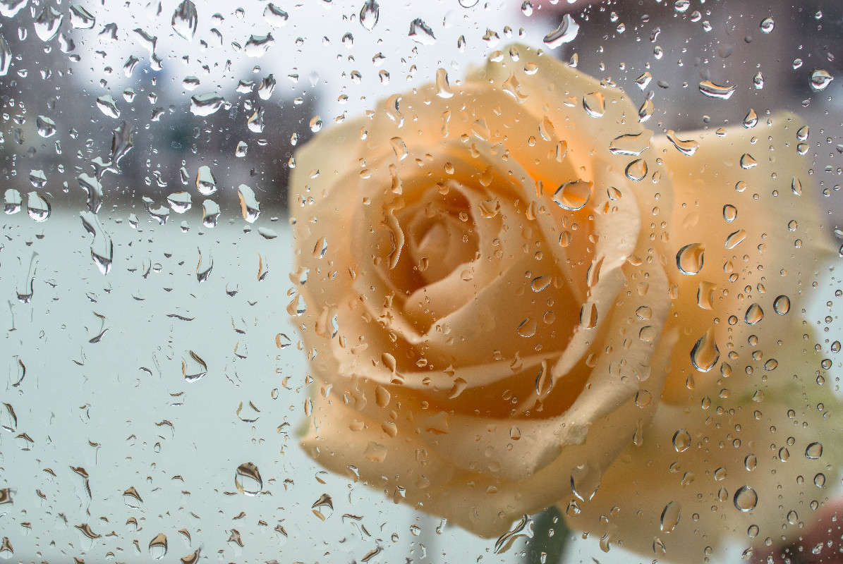 ����� ����� Yaroslava Hamamoto �� PhotoGeek.ru #������ ��� ������� #���������