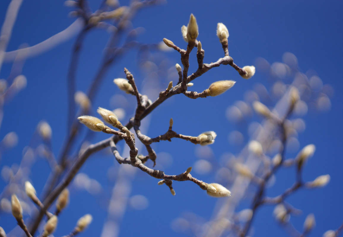 ��������� ����� Yaroslava Hamamoto �� PhotoGeek.ru #������ ��� ������� #����� �������������� #������