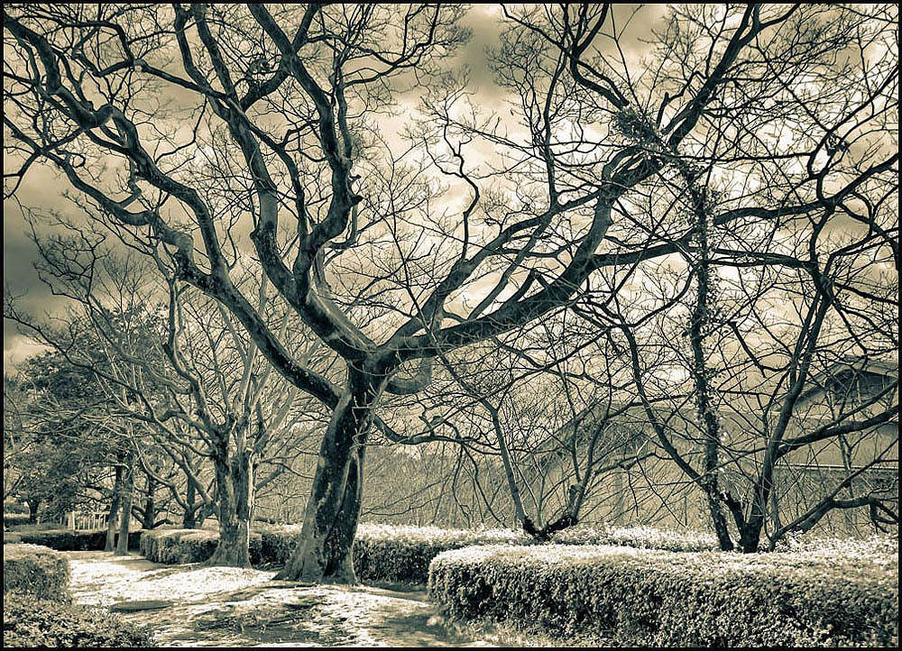 park ����� Yaroslava Hamamoto �� PhotoGeek.ru #������ ��� ������� #���������