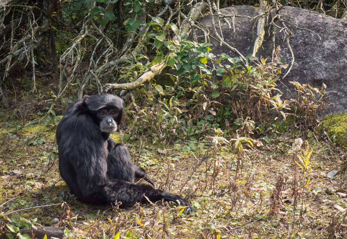 chi chi ����� Yaroslava Hamamoto �� PhotoGeek.ru #�������� ���