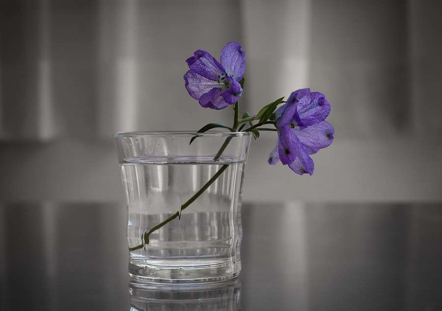 ���������� ����� Yaroslava Hamamoto �� PhotoGeek.ru #��������� #���-�����������