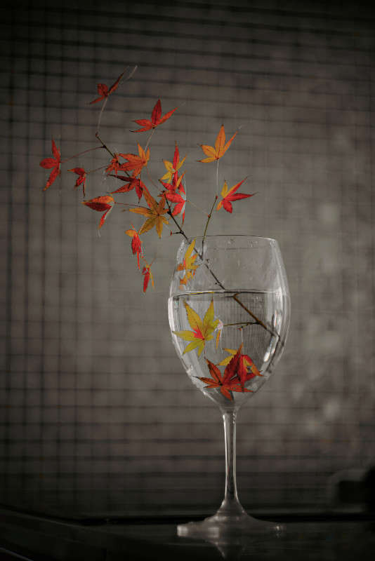 ����� � ������ ����� Yaroslava Hamamoto �� PhotoGeek.ru #���������