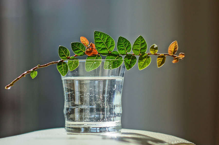 *** ����� Yaroslava Hamamoto �� PhotoGeek.ru #������ ��� ������� #����� ��������������