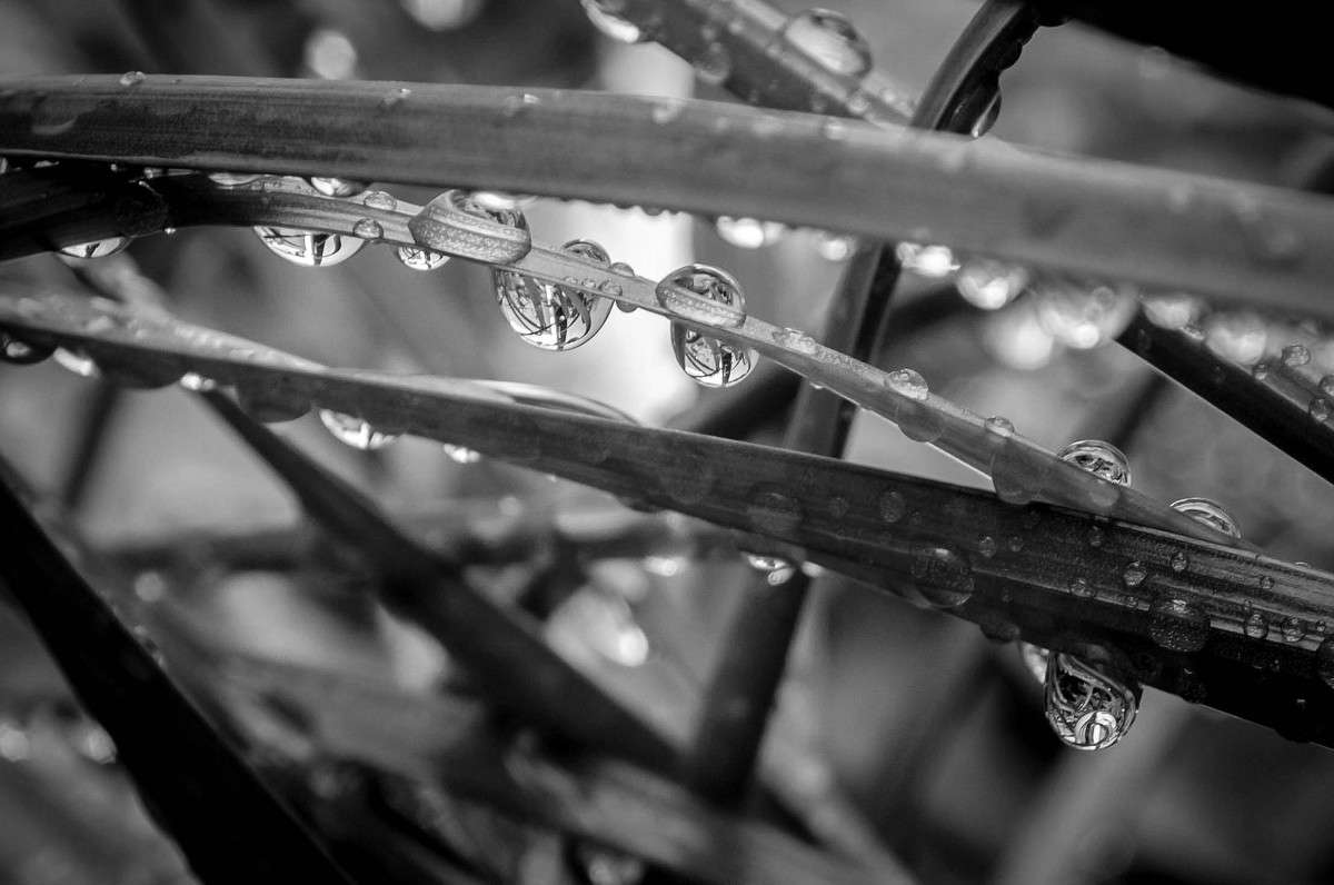 *** ����� Yaroslava Hamamoto �� PhotoGeek.ru #����� #������ ��� ������� #�����-�����