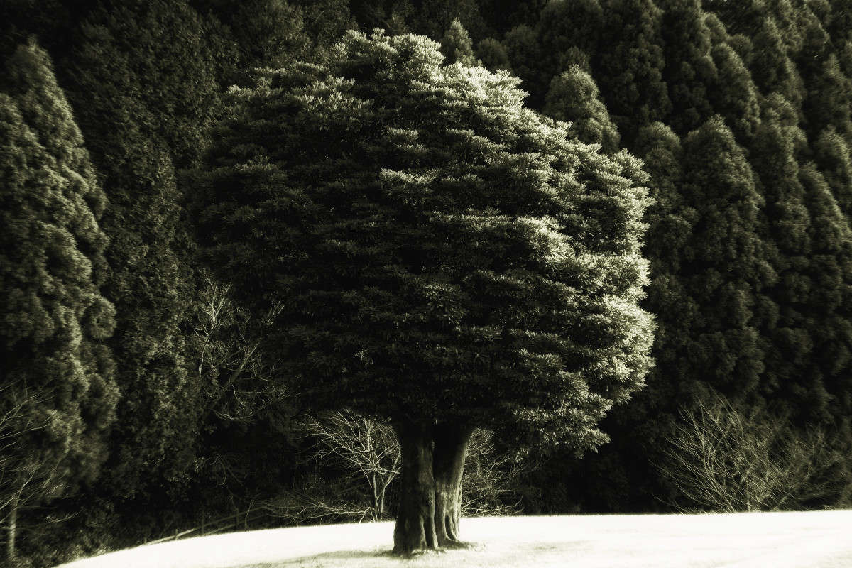 ... ����� Yaroslava Hamamoto �� PhotoGeek.ru #������ ��� ������� #����� ��������