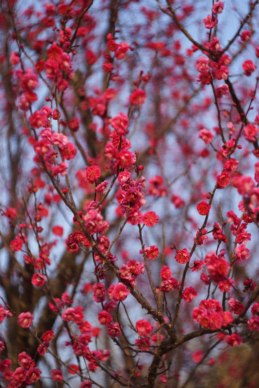 ����� ������� ����� Yaroslava Hamamoto �� PhotoGeek.ru #������ ��� ������� #����� ��������������