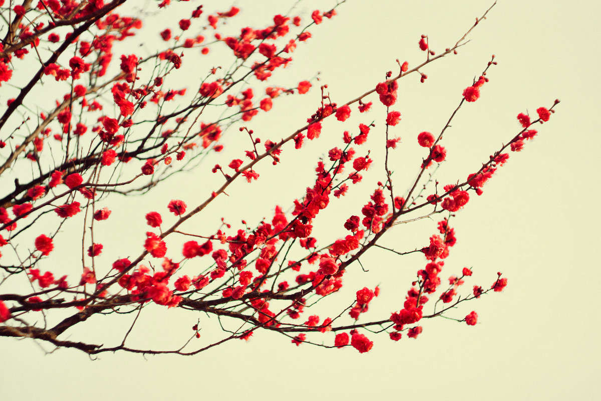 *** ����� Yaroslava Hamamoto �� PhotoGeek.ru #������ ��� �������