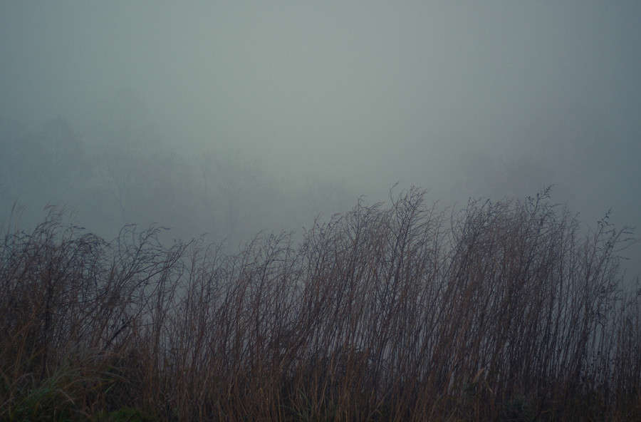 ������ ����� Yaroslava Hamamoto �� PhotoGeek.ru #������ ��� ������� #����� ��������