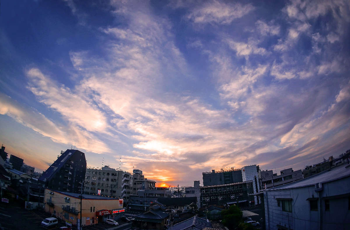 �������� ���� ����� Yaroslava Hamamoto �� PhotoGeek.ru #����� #����������� #��������� ������