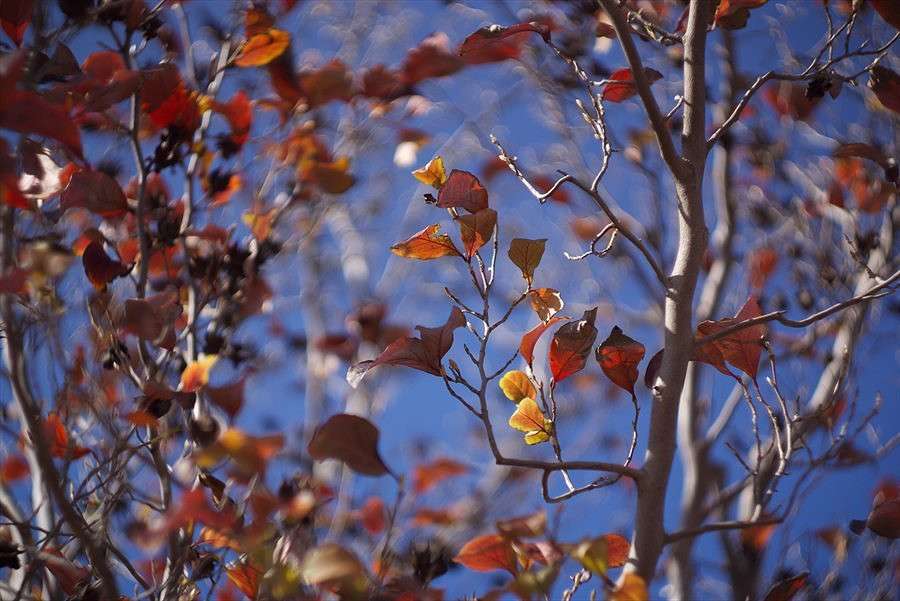 *** ����� Yaroslava Hamamoto �� PhotoGeek.ru #������ ��� ������� #��������� #����� ��������