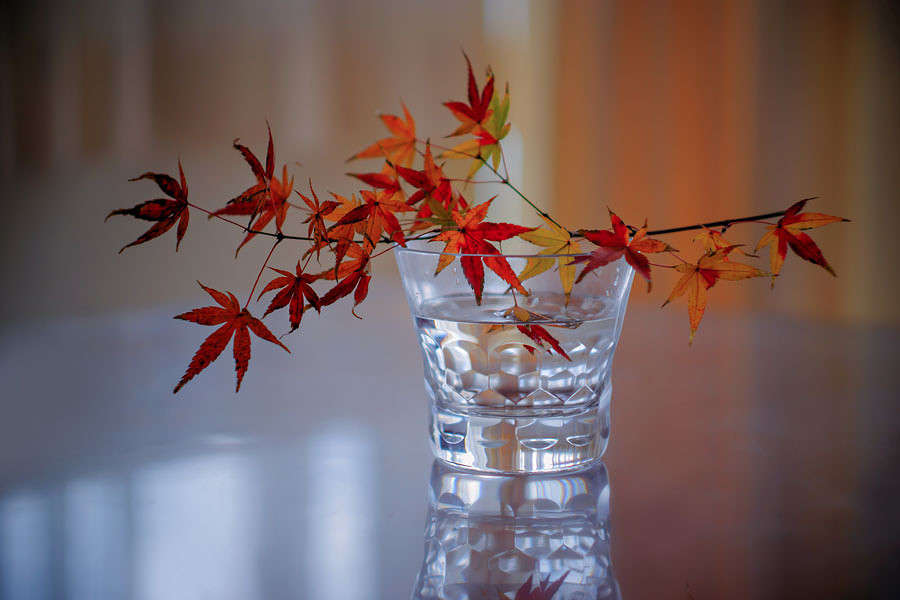 *** ����� Yaroslava Hamamoto �� PhotoGeek.ru #��������� #���-�����������