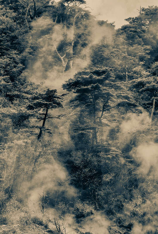 ��� ���� ����� Yaroslava Hamamoto �� PhotoGeek.ru #������ ��� ������� #����� �������������� #������