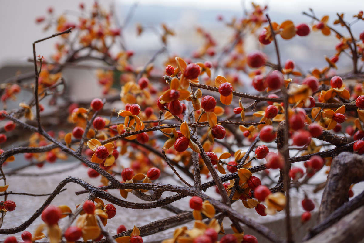 *** ����� Yaroslava Hamamoto �� PhotoGeek.ru #������ ��� ������� #������