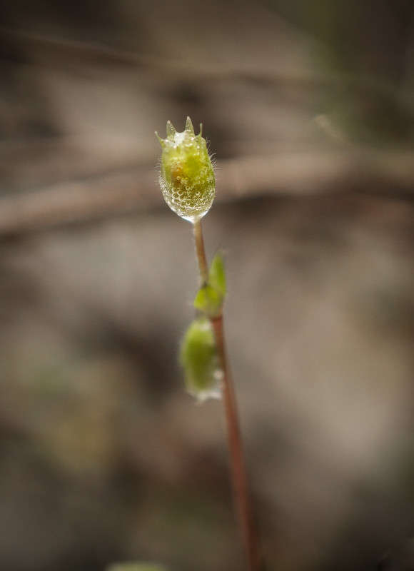 "�������" ����� Yaroslava Hamamoto �� PhotoGeek.ru #�����