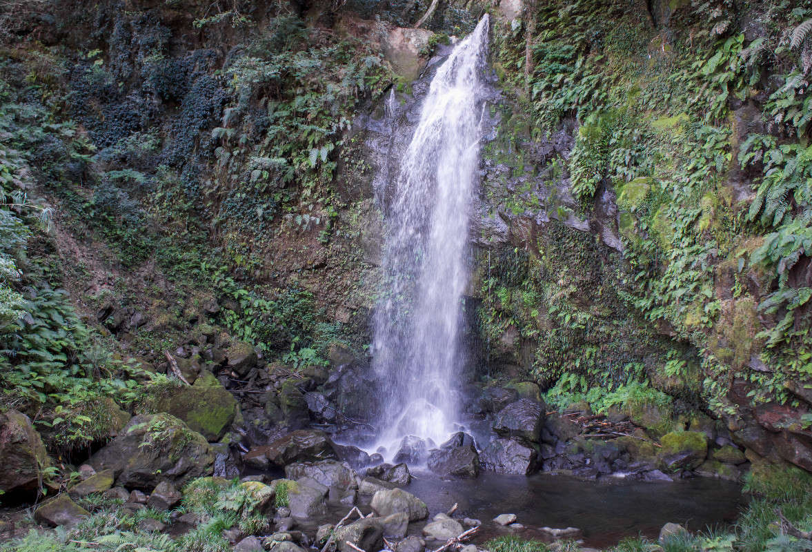 *** ����� Yaroslava Hamamoto �� PhotoGeek.ru #������ ��� �������