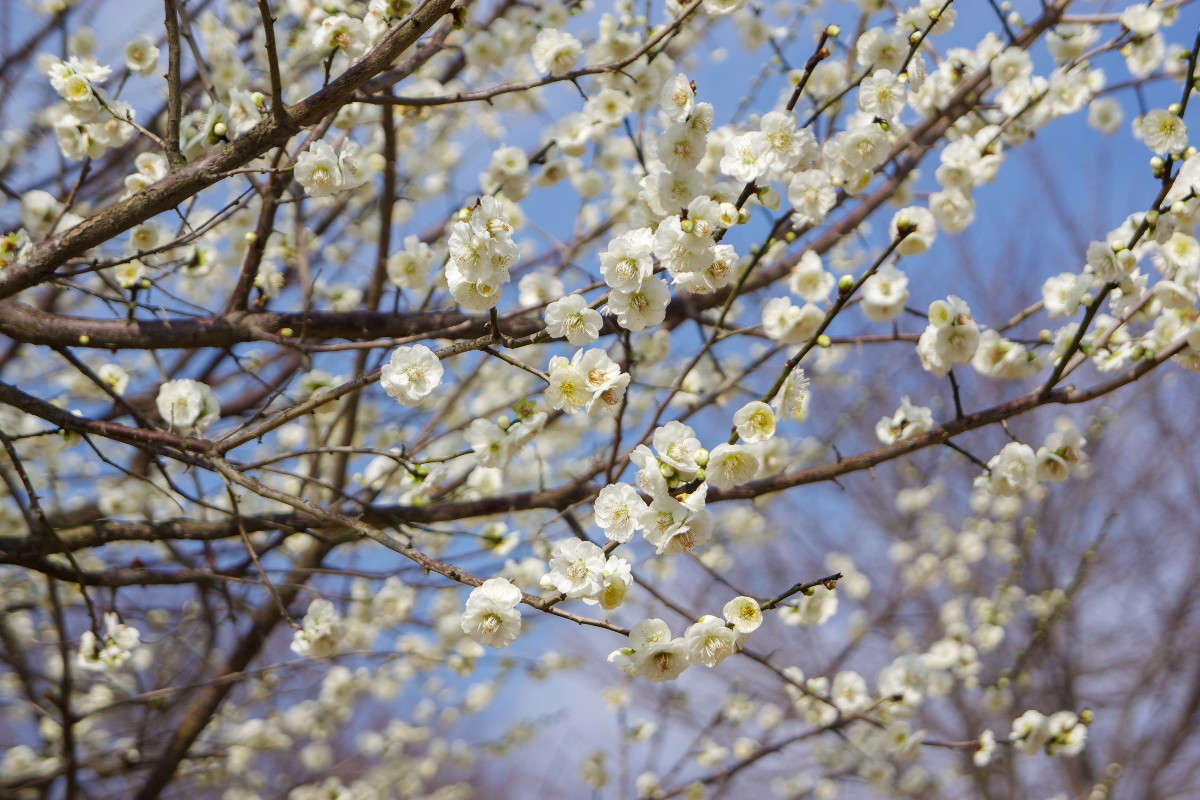 *** ����� Yaroslava Hamamoto �� PhotoGeek.ru #������ ��� ������� #����� ��������������