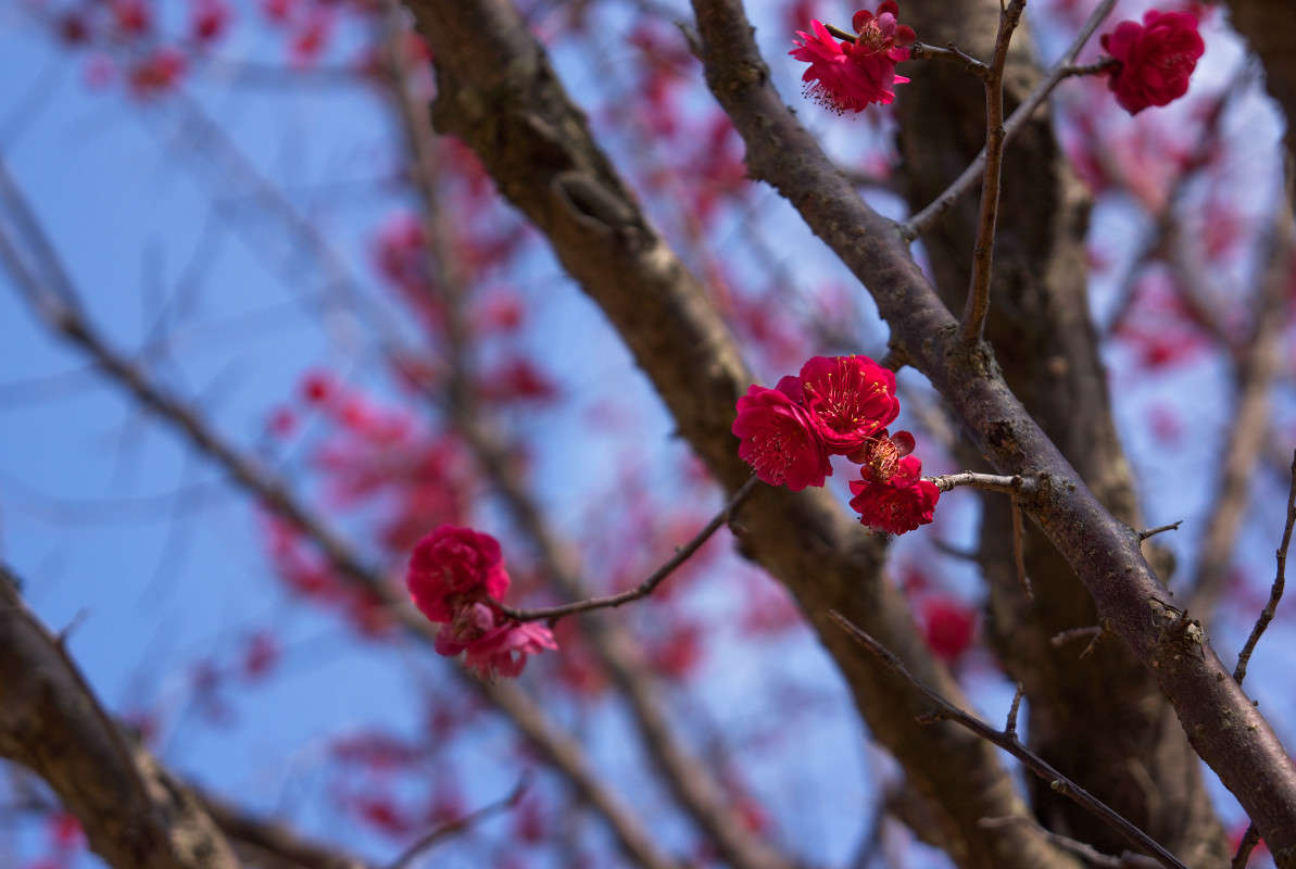 ����� ������� ����� Yaroslava Hamamoto �� PhotoGeek.ru #������ ��� ������� #����� ��������������