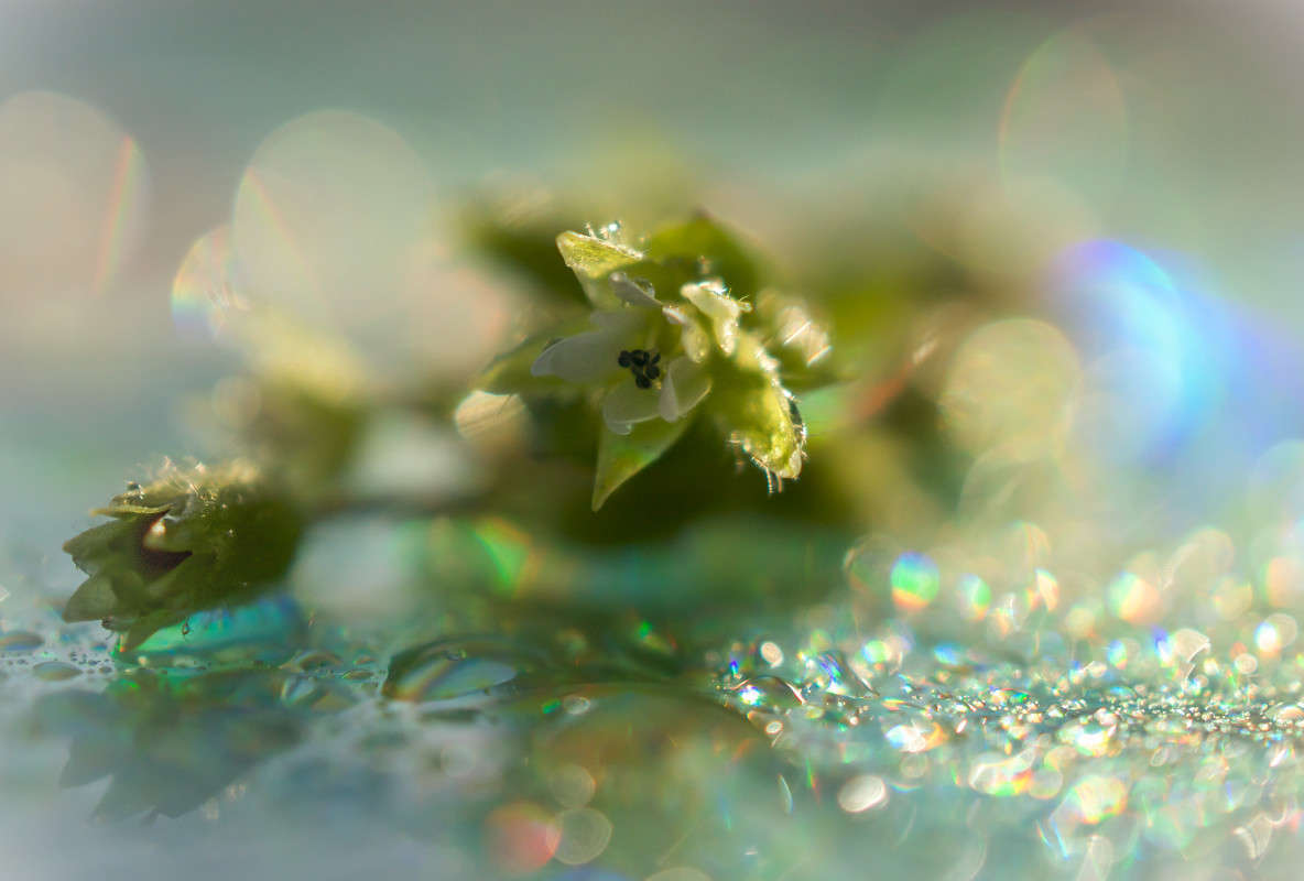 *** ����� Yaroslava Hamamoto �� PhotoGeek.ru #�����