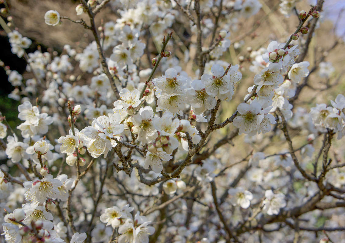 *** ����� Yaroslava Hamamoto �� PhotoGeek.ru #������ ��� ������� #����� ��������������