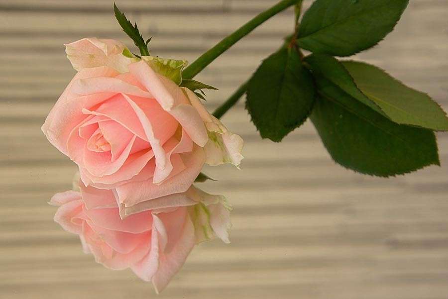 � ������� ����� Yaroslava Hamamoto �� PhotoGeek.ru #������ ��� ������� #����� ��������������