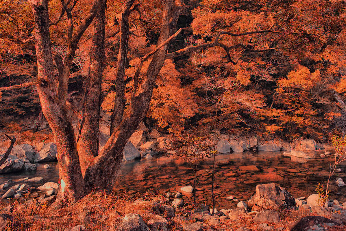 �������� ��������� ����� Yaroslava Hamamoto �� PhotoGeek.ru #������ ��� ������� #���������