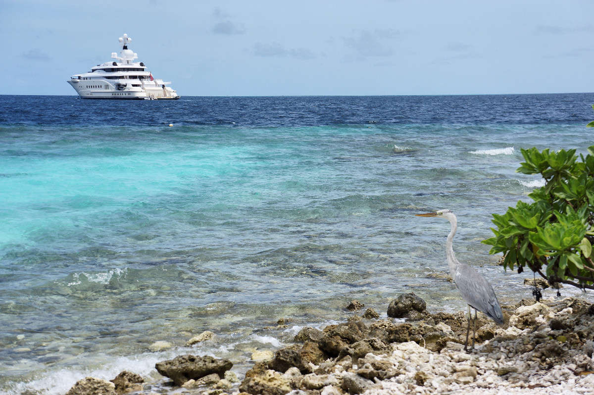 Maldives ����� Yaroslava Hamamoto �� PhotoGeek.ru #������ ��� ������� #��������� #����� ��������