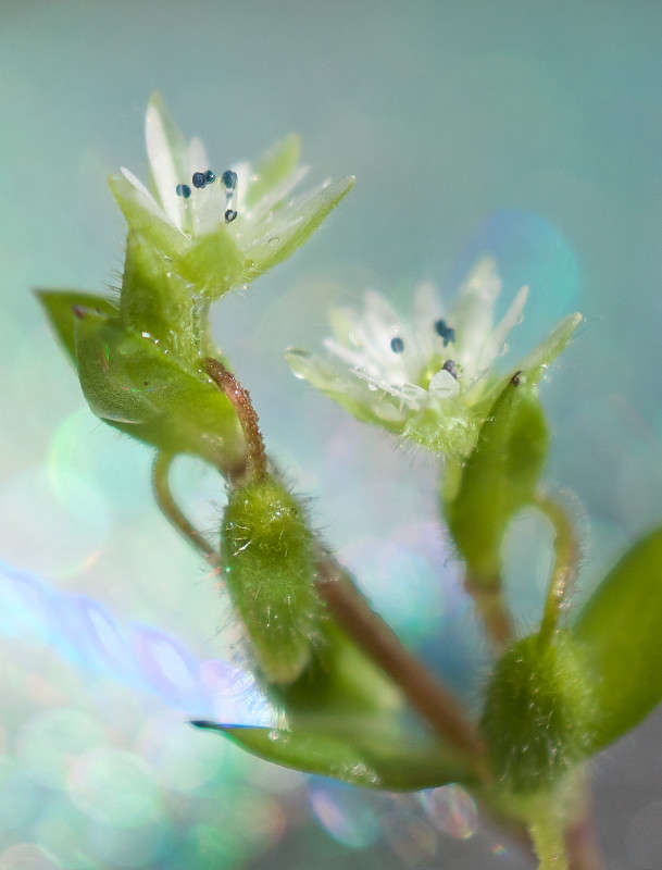 �������� ����� Yaroslava Hamamoto �� PhotoGeek.ru #����� #����� ��������������