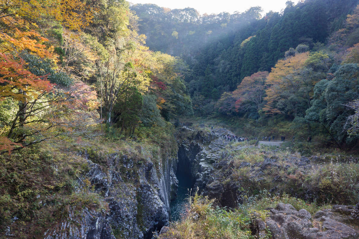 ����� ����� Yaroslava Hamamoto �� PhotoGeek.ru #������ ��� ������� #��������� #����� ��������