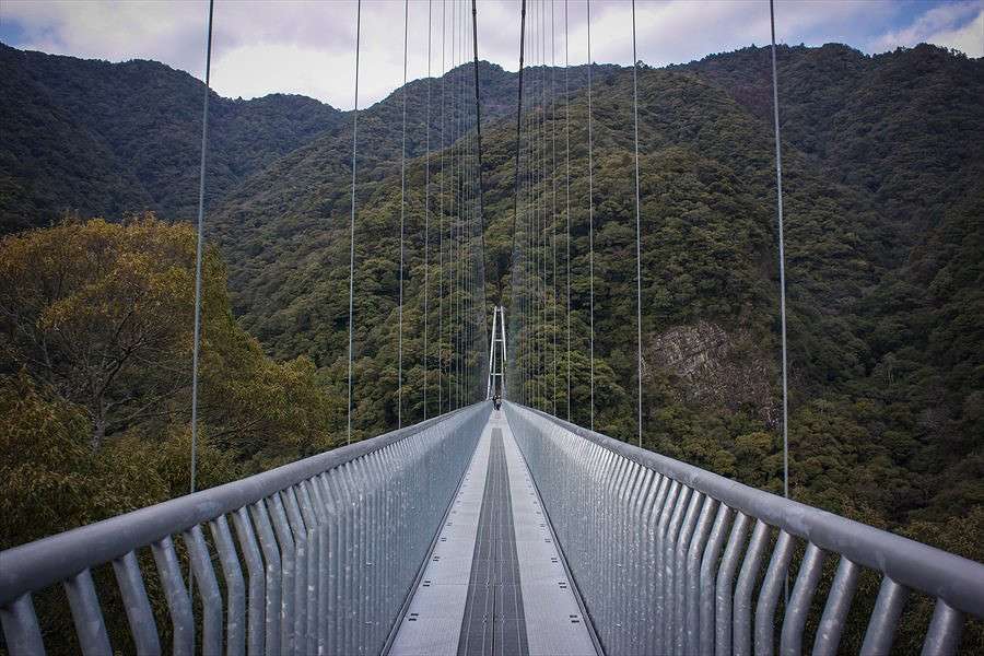 ��������� ���� � �������� ����� Yaroslava Hamamoto �� PhotoGeek.ru #������ ��� ������� #��������� #����� ��������