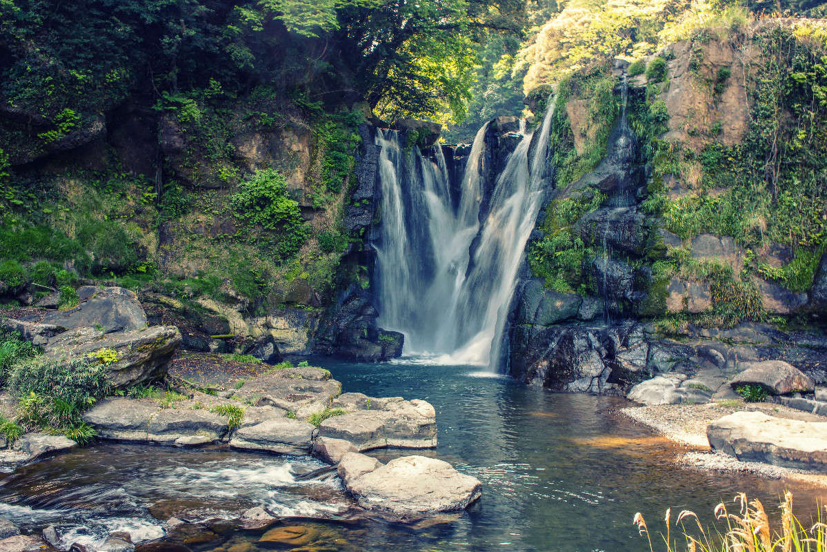 *** ����� Yaroslava Hamamoto �� PhotoGeek.ru #������ ��� ������� #��������� #����� ��������