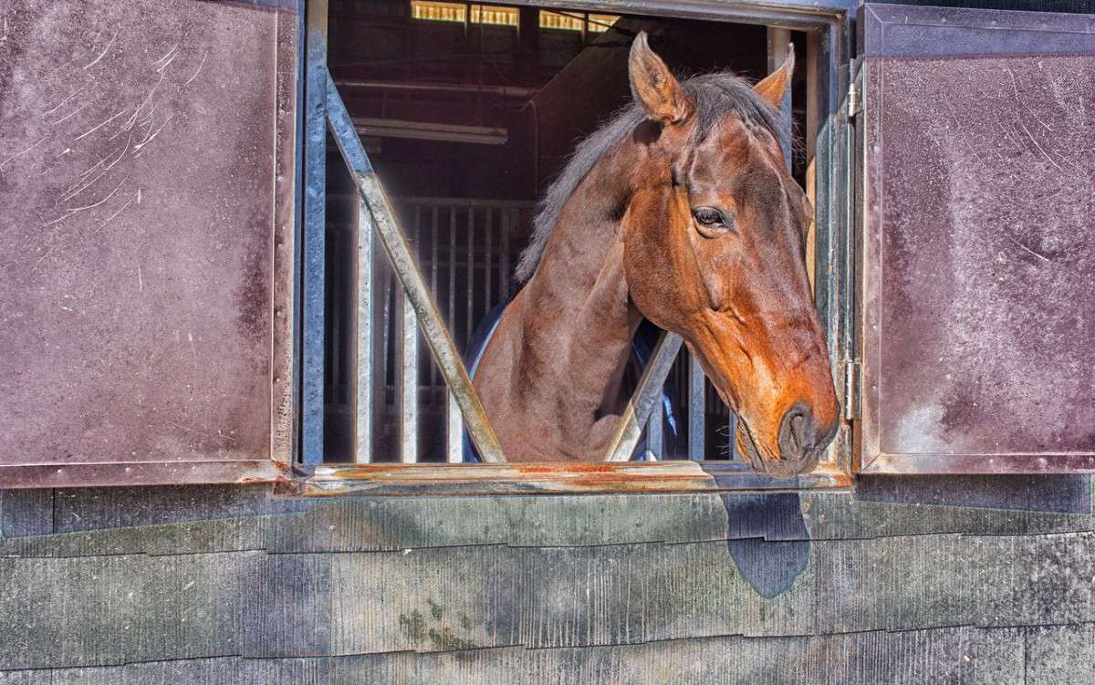 *** ����� Yaroslava Hamamoto �� PhotoGeek.ru #�������� ���