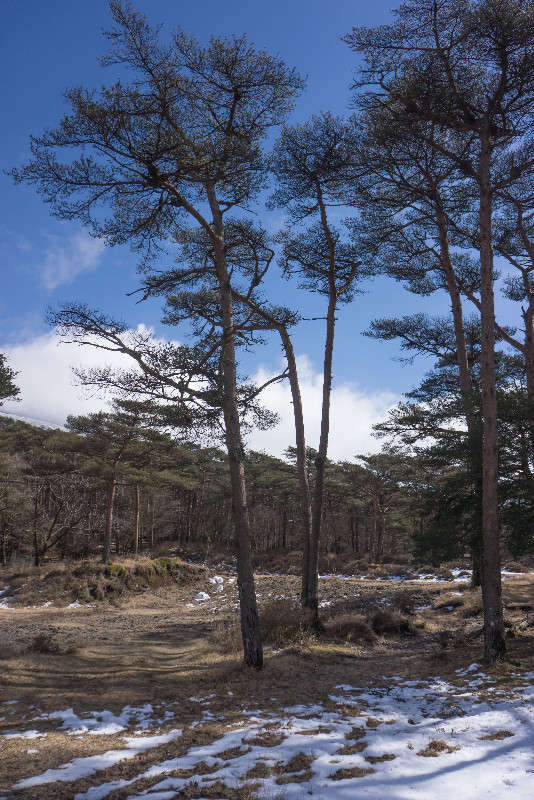 ������� ����� ����� Yaroslava Hamamoto �� PhotoGeek.ru #������ ��� �������