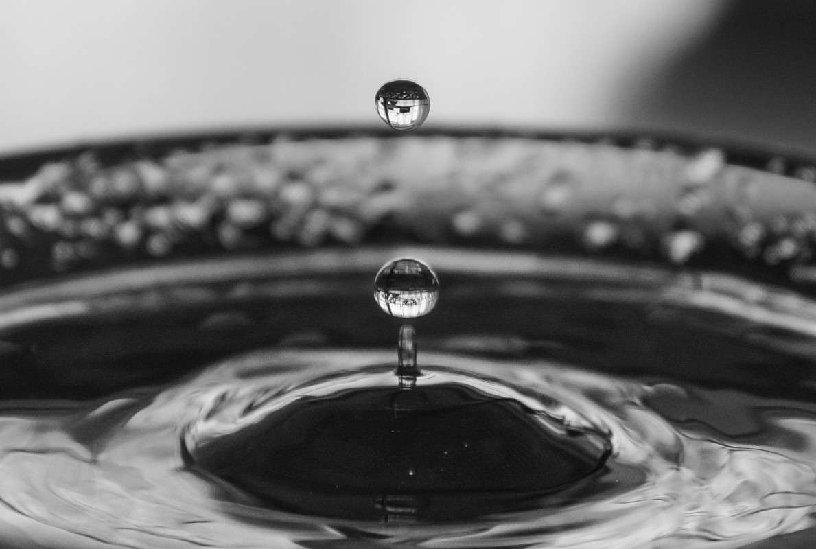 ������������ � ����� ����� Yaroslava Hamamoto �� PhotoGeek.ru #�����