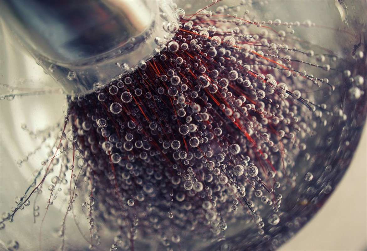 �������� ����� Yaroslava Hamamoto �� PhotoGeek.ru #����� #E30 macro