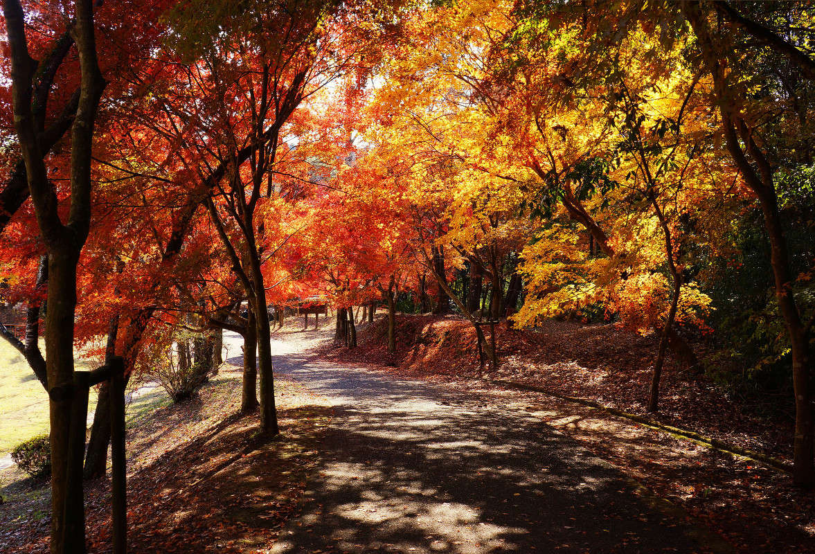 ������� ����� ����� Yaroslava Hamamoto �� PhotoGeek.ru #������ ��� �������