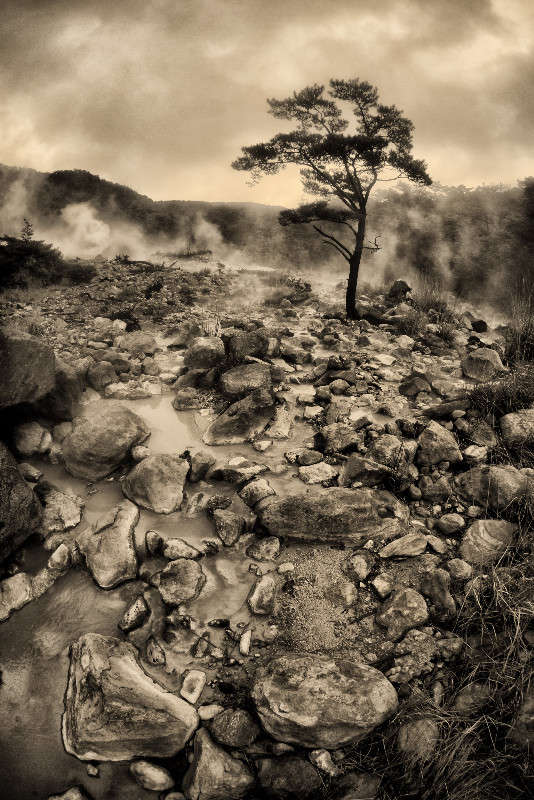 *** ����� Yaroslava Hamamoto �� PhotoGeek.ru #������ ��� ������� #E16+fish #��������� #������ #����� ��������