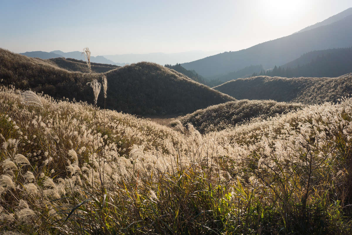 ���� ����� Yaroslava Hamamoto �� PhotoGeek.ru #������ ��� ������� #���������