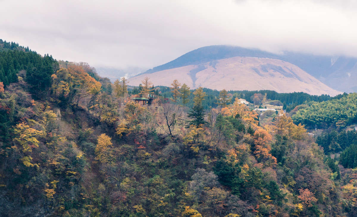 Oita ����� Yaroslava Hamamoto �� PhotoGeek.ru #������ ��� ������� #��������� #����� ��������