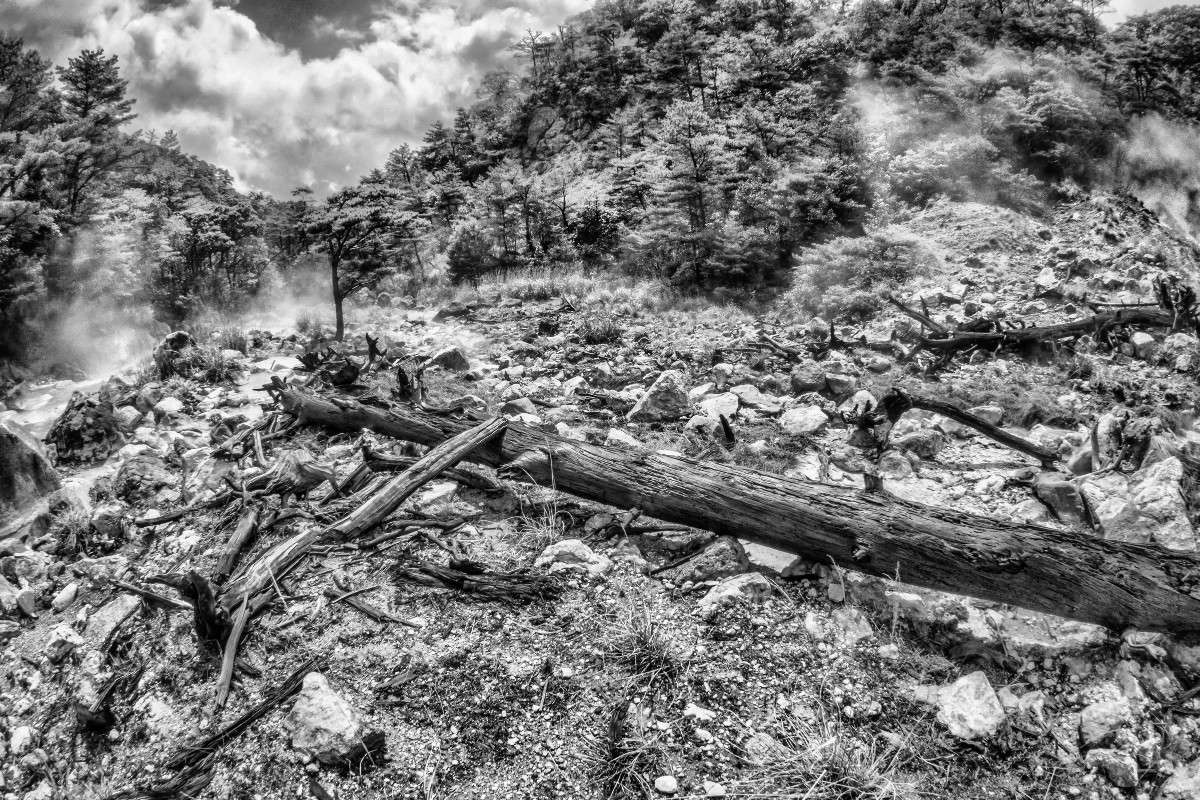 ����� ���� ����� Yaroslava Hamamoto �� PhotoGeek.ru #������ ��� ������� #��������� #�����-�����