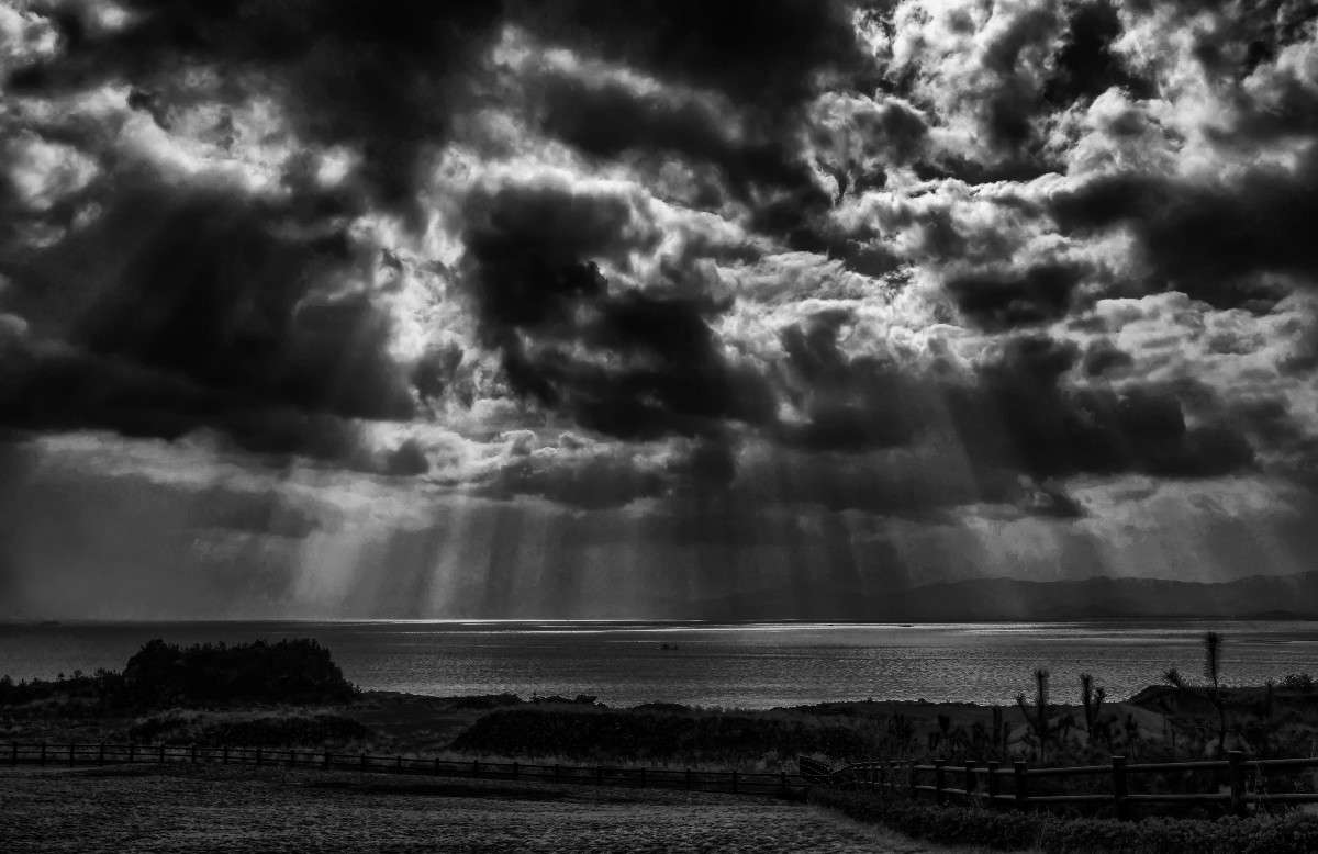 svet ����� Yaroslava Hamamoto �� PhotoGeek.ru #������ ��� ������� #���������