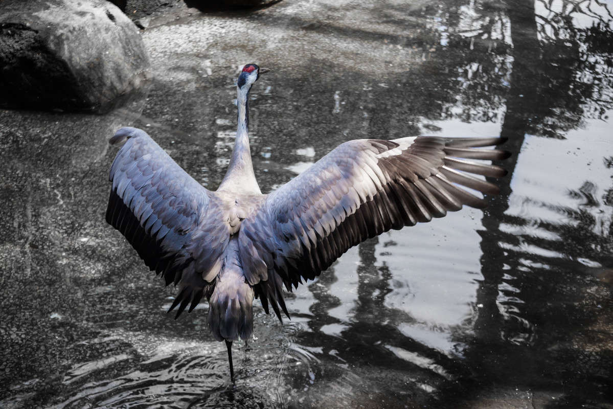 ... ����� Yaroslava Hamamoto �� PhotoGeek.ru #�������� ���