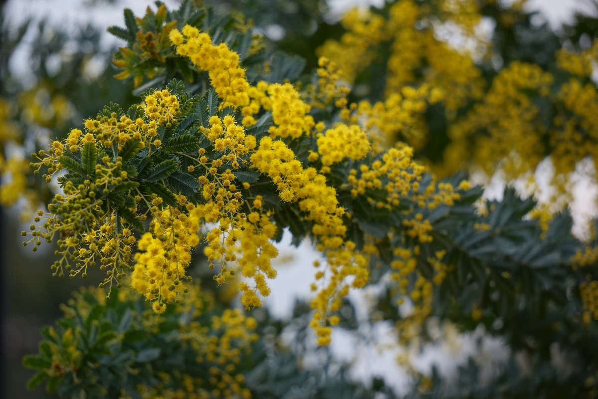 ������ ����� Yaroslava Hamamoto �� PhotoGeek.ru #������ ��� ������� #����� �������������� #����� ��������